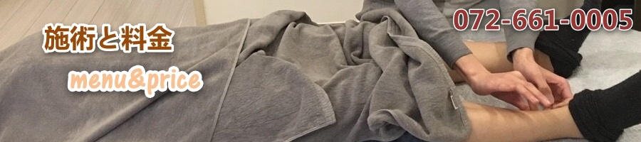 �{�p�Ɨ���